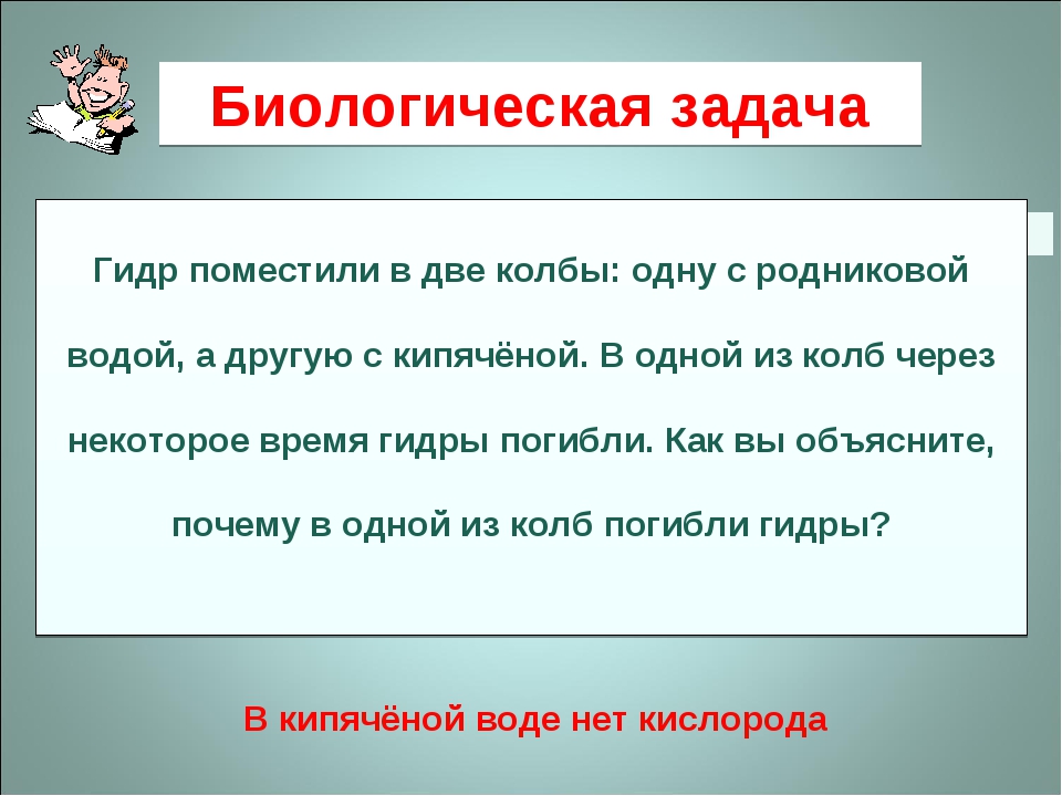 Ссылка на кракен тор kr2web in