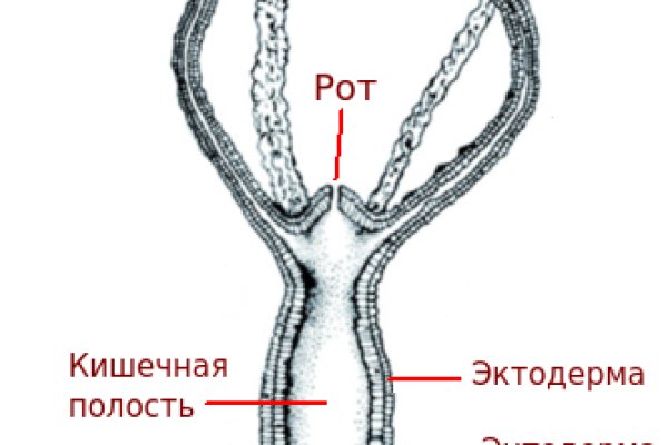 Сайт кракен закрыли